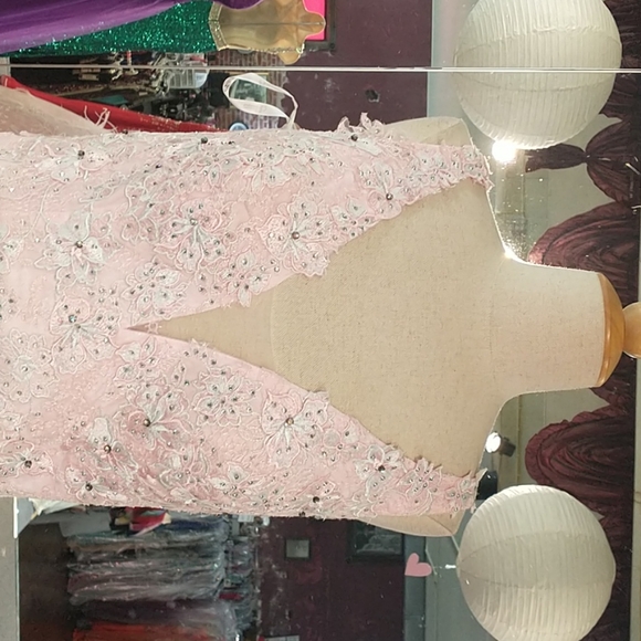 Quinceanera or Prom gown pink with feathers corset back - Picture 3 of 10